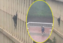 Video of 'spiderman' escaping from Joburg Magistrates Court goes viral: 'The magistrate didn't even show up, so I said, why bother being there?'