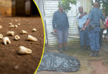 KZN gogo (75) brutally murdered, her teeth were found scattered on the floor as son (35) stabs his mother to death