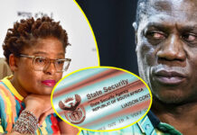 Leaked Sate Security Agency report exposes Minister Ntshavheni's secret operation to get Mashatile, Motshekga, Lesufi and 6 others in hot soup (SEE NAMES)