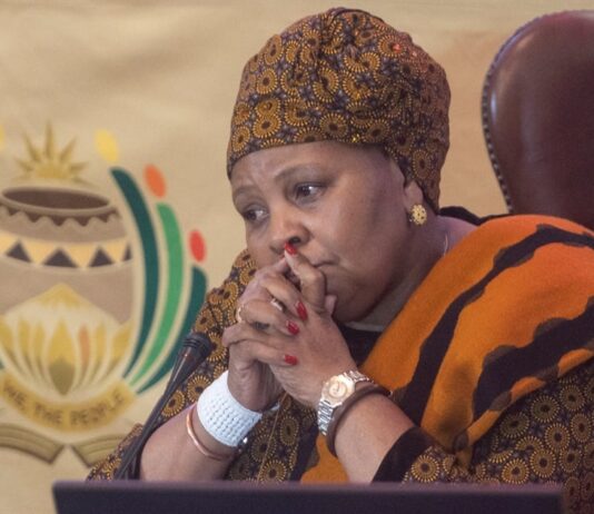 Missing files and stolen citizenship! Gupta scandal deepens: Mapisa-Nqakula in hot soup over 'unlawful' granting of permanent residence to Gupta nephew