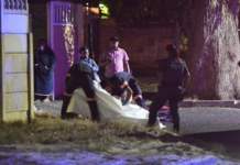 Athlone family dispute turns deadly: Man (52) beaten to death for attacking his sister, mkhwenyana arrested for murder