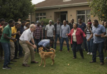 75-year-old white man arrested after being caught red-handed by his wife having tlof tlof with a dog