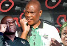 Deputy President Paul Mashatile's 'Assassination Attempt' Takes a New Twist as Questions Mount and ANC Factions Clash