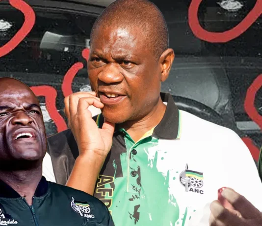 Deputy President Paul Mashatile's 'Assassination Attempt' Takes a New Twist as Questions Mount and ANC Factions Clash