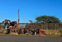 5 family members killed in horror car accident while transporting a relative who was heavily beaten and stabbed (WATCH VIDEO & PICS)