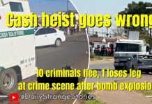 Cash-in-transit heist goes wrong: 10 criminals flee, 1 loses leg at crime scene after bombing himself