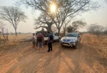 Conquer the City: Affordable and Comfortable City Transfers Across Southern Africa with Hilton Transfers International