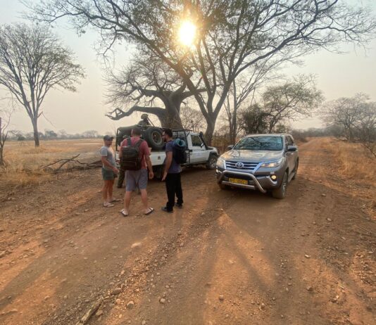 Conquer the City: Affordable and Comfortable City Transfers Across Southern Africa with Hilton Transfers International