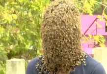 FAKE MIRACLES EXPOSED: This is the trick fake prophets and sangomas use to 'send' bees to thieves and wrongdoers