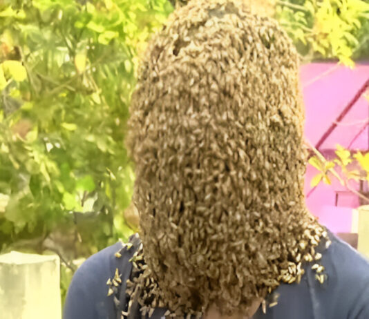 FAKE MIRACLES EXPOSED: This is the trick fake prophets and sangomas use to 'send' bees to thieves and wrongdoers