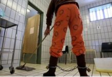 You shall rot in jail: Pretoria magistrate sentences tlof tlof-loving Zimbabwean man to life in prison