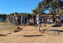 Beyond Victoria Falls: Unveiling Zimbabwe's Untamed Safari Secrets with Hilton Transfers International