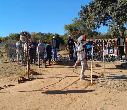 Beyond Victoria Falls: Unveiling Zimbabwe's Untamed Safari Secrets with Hilton Transfers International