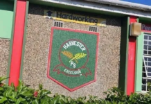 Female tlof tlof-loving Harvester Primary School teacher caught sexting a Grade 7 boy