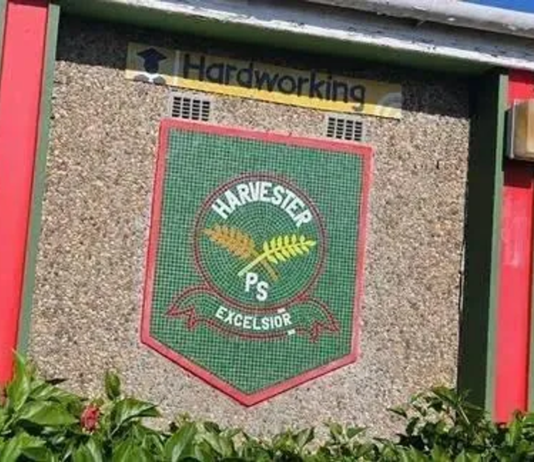 Female tlof tlof-loving Harvester Primary School teacher caught sexting a Grade 7 boy