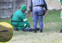 Newly-born baby girl found dumped in Manenberg with her umbilical cord still attached