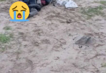 Dead body found dumped at dumping site, Boyfriend vanishes after Sibongile Hadebe's burnt body is found