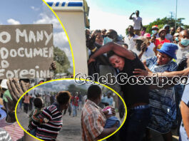 Chased like dogs as Ramaphosa unveils crackdown: Foreigners flee to mountains as South African xenophobia gets deadly