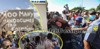 Chased like dogs as Ramaphosa unveils crackdown: Foreigners flee to mountains as South African xenophobia gets deadly