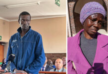 Limpopo man (40) brutally kills his 87-year-old mother and chops her body into pieces