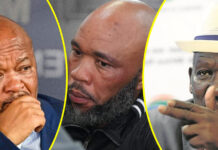 Vusimuzi Cat Matlala to Testify on Police Infiltration Before Parliamentary Committee