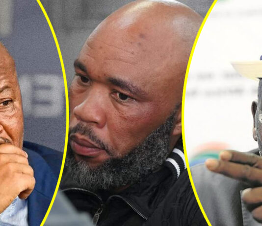 Vusimuzi Cat Matlala to Testify on Police Infiltration Before Parliamentary Committee