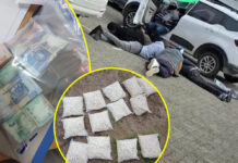 Maitland Flying Squad's operation: 5 arrested in major drug bust near popular Wembley Roadhouse in Athlone