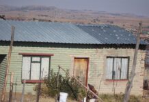 65-year-old Ficksburg man brutally murdered in his house, eyes stabbed and stolen at crime scene (VIDEOS)