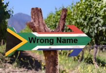 Party wants South Africa to change its name, get all foreigners BANNED from buying land in SA, plus land reform