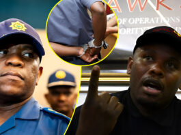 Shadrack Sibiya: "Mkhwanazi's TikTok Fans Flayed Me!" – Explosive Claims Rock Madlanga Commission