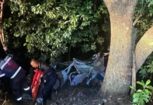 2 killed in horror crash as car splits in 2, four high school students burnt to death in another deadly accident