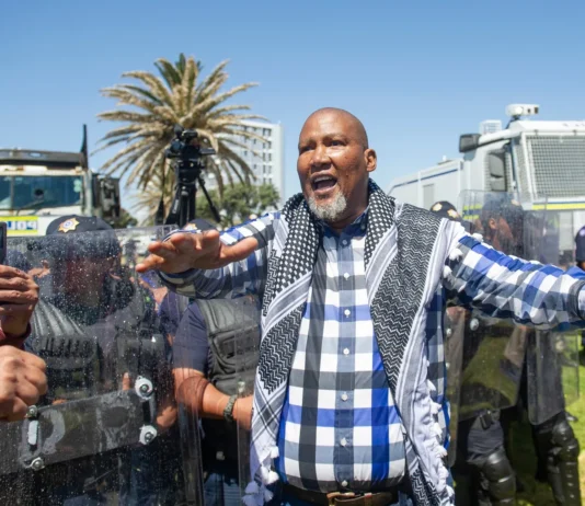 From Apartheid to Palestine: Mandela's Grandson and Greta Thunberg Team Up In Gaza Fight