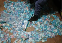 CIT Robbery Suspect Arrested – Caught with Stained Cash, Rifle, and Getaway Vehicles