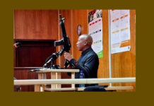 Julius Malema to Face Pre-Sentencing Hearing Amid Gun Law Violations