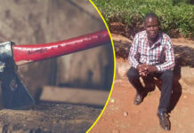 Death after umjolo and tlof tlof: 2 undocumented Zimbabweans axe South African couple for cheating on one of them, arrested while fleeing back to Zim