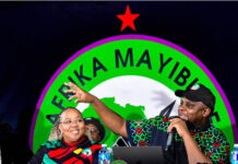 Mayibuye Deputy Leader Mcinga Fired Over Zuma Meeting Scandal