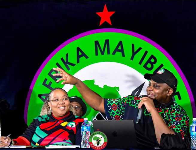 Africa-Mayibuye Party