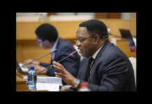 Police Identify Persons of Interest in Assassination of Madlanga Commission Whistle-Blower Marius van der Merwe