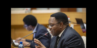 National Police Commissioner Fannie Masemola Charged Under Public Finance Management Act, Not Corruption