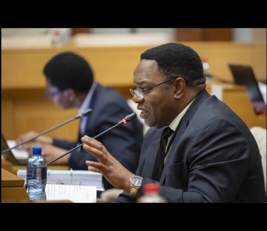 National Police Commissioner Fannie Masemola Charged Under Public Finance Management Act, Not Corruption