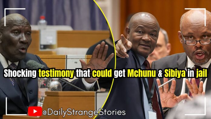 Thumbnail - Bheki Cele gives a shocking testimony