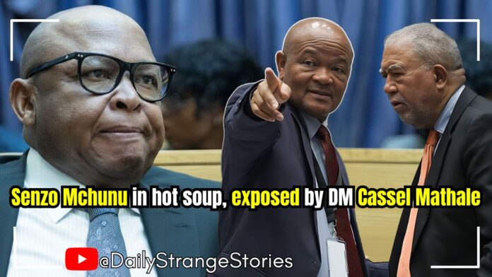 Thumbnail - Senzo Mchunu exposed by DM Cassel Mathale