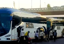 Zimbabweans shot dead during deadly cross-border bus armed robbery along N1 highway