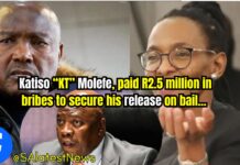 Chief Justice Maya speaks out on R2.5m bribery claims involving Acting Judge President Ledwaba