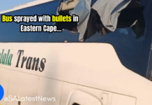 Woman Killed, Two Injured in Eastern Cape Bus Attack