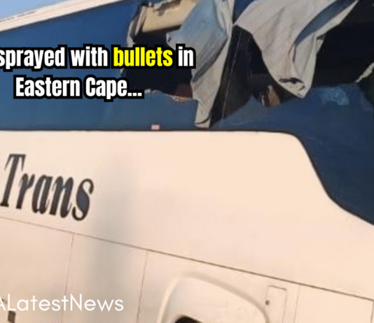 Woman Killed, Two Injured in Eastern Cape Bus Attack
