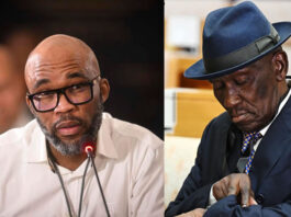 Cash In A Woolworths Bag, R50k In A Bathroom Bin And 20 Impalas: Vusimuzi 'Cat' Matlala’s Explosive Affidavit Accuses Top Cops And Ministers