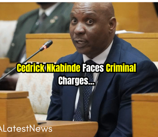 Cedric Nkabinde Faces Criminal Charges After "Thumb-Sucking" Affidavit Angers MPs