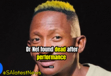 Limpopo Mourns Rising Star Dr Nel After Tragic Death