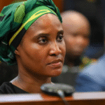Police Inquiry into Duduzile Zuma-Sambudla Handed to Hawks as Allegations Over SA Men in Ukraine War Deepen
